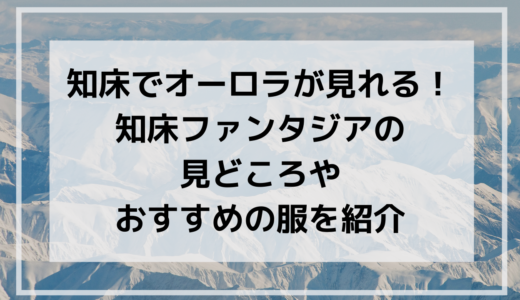 コストコ ブラックフライデーはいつから 混雑状況や開店時間も Shuhumika