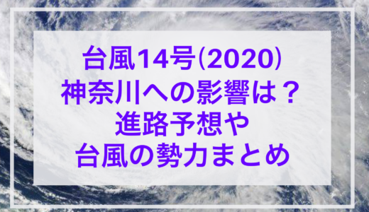 台風14号(2020)神奈川への影響は?進路予想や上陸の可能性はある?