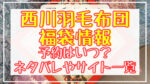 西川羽毛布団福袋2024予約日いつ?中身ネタバレや販売サイト一覧